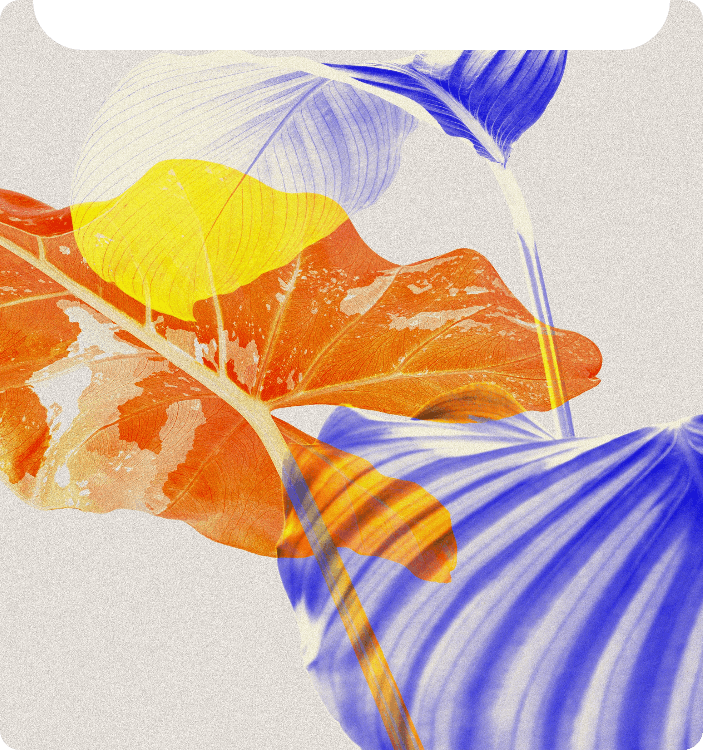 IA Descrever Imagem para Recriação de Arte