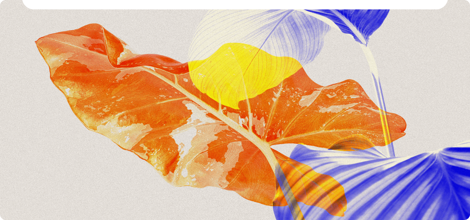 IA Descrever Imagem para Recriação de Arte